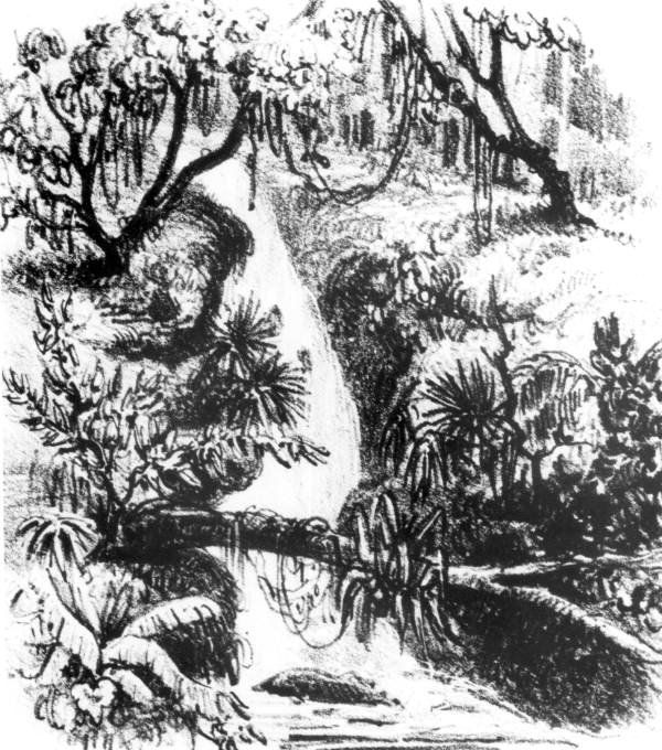 Drawing of Tallahassee Cascades by Castelnau around 1837-38
